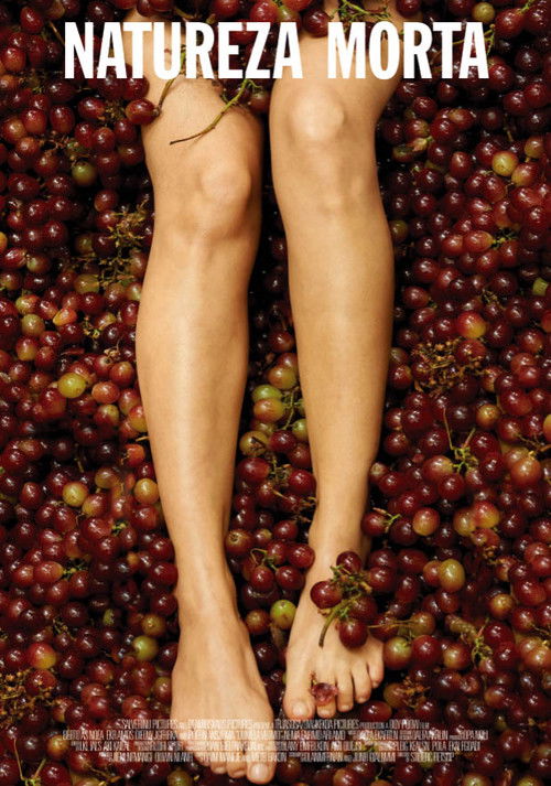 Natureza Morta (2020) poster