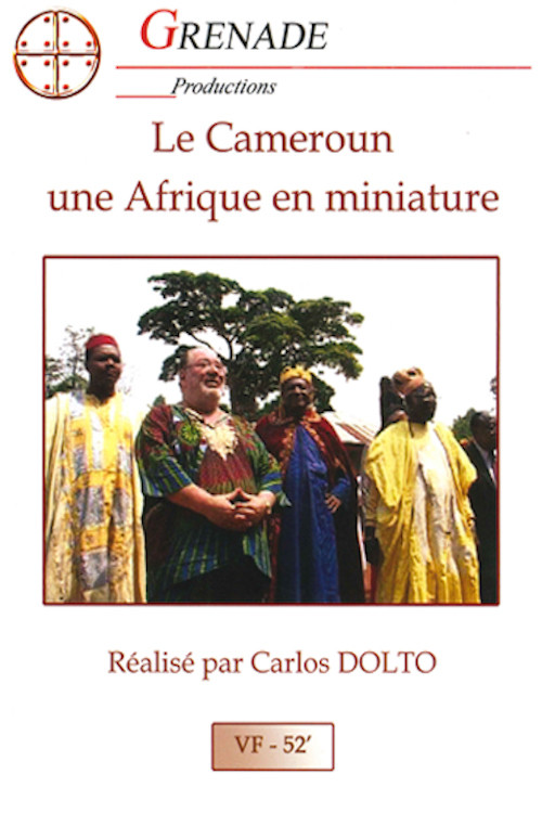 Le Gros Homme et la mer - Carlos au Cameroun (2004) poster