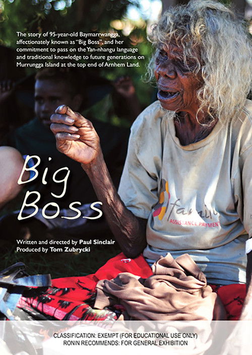 Big Boss (2012) poster