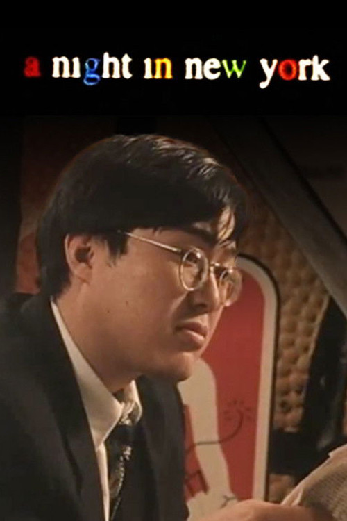 A Night in New York (1995) poster