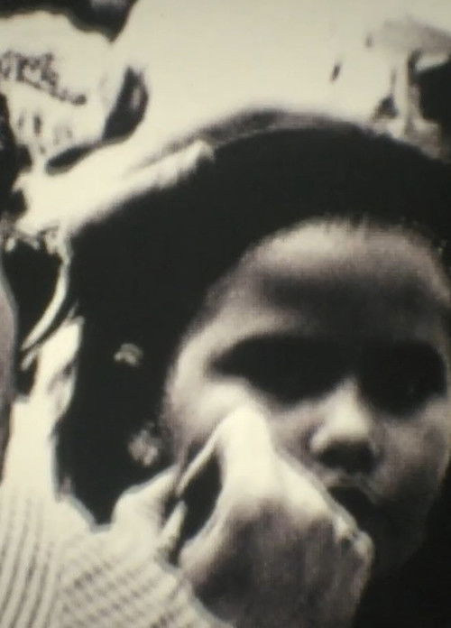 Beluga Crash Blues (1997) poster