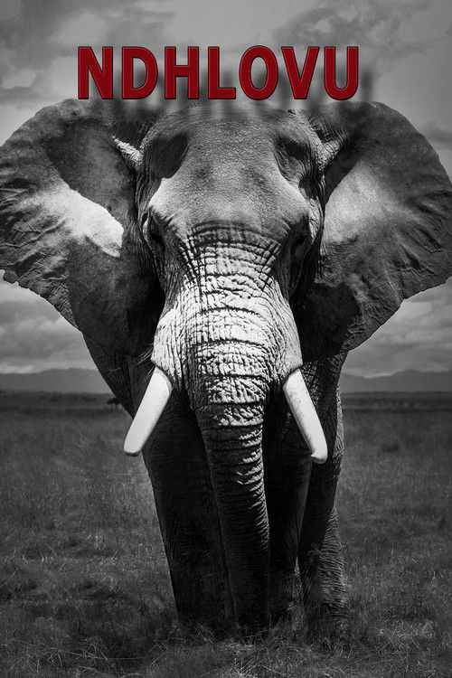 Ndhlovu (2022) poster