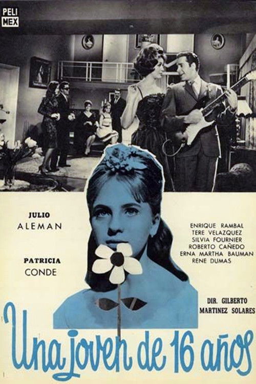 A 16 Year Old Young-Woman (1963) poster