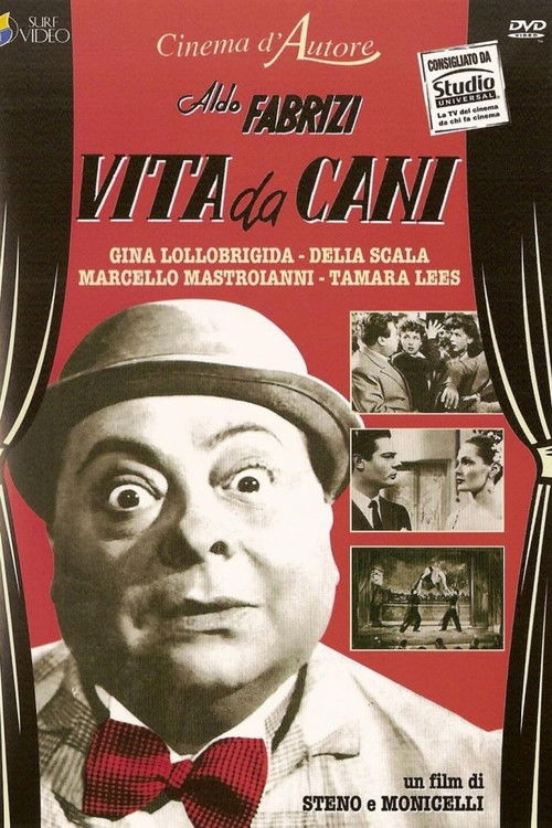 Vita da cani (1950) poster