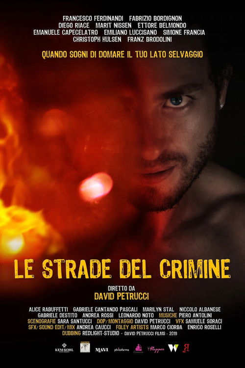 Le strade del crimine (2020) poster