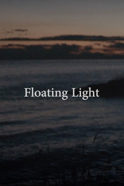 Floating Light (2017) poster