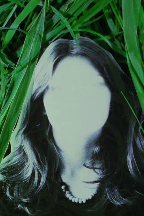 The Life Story Of Bruno S. Retrieved From A Drawer (1979) poster