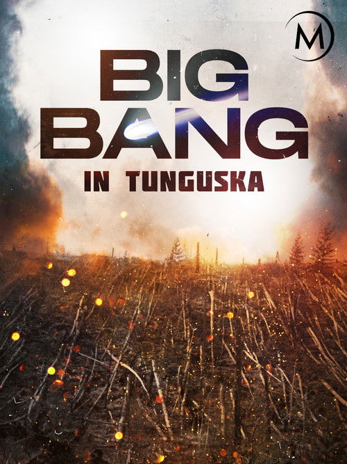 Big Bang in Tunguska (2008) poster