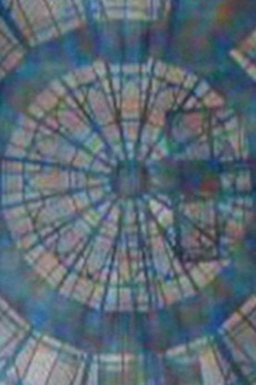 Allan Gardens (2013) poster