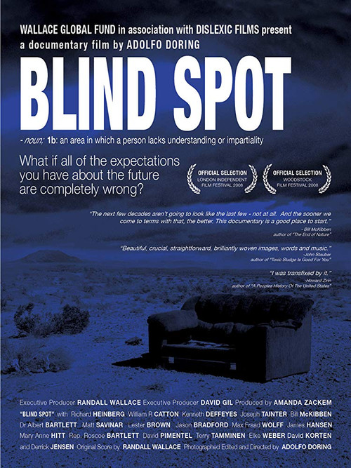 Blind Spot (2008) poster