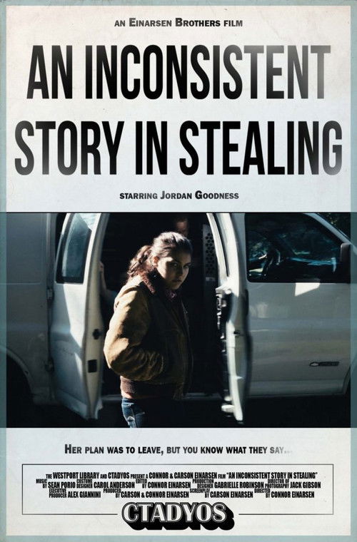 An Inconsistent Story in Stealing (2017) poster