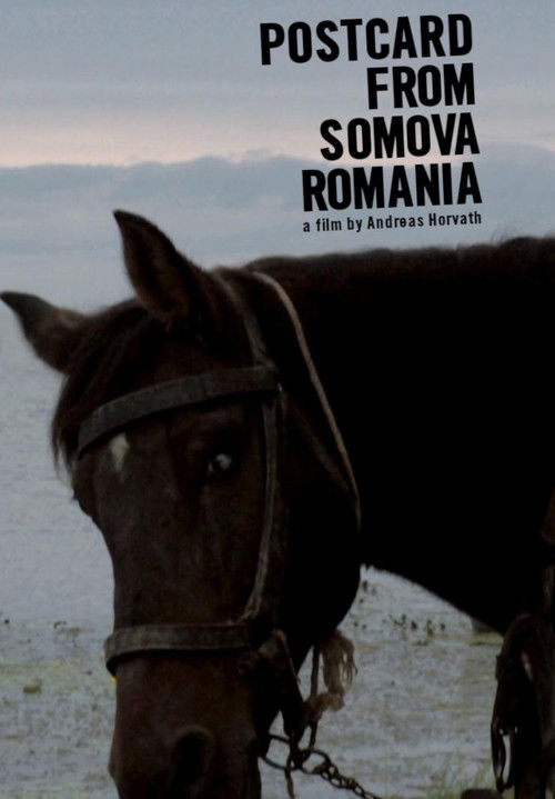 Postcard from Somova, Romania (2012) poster