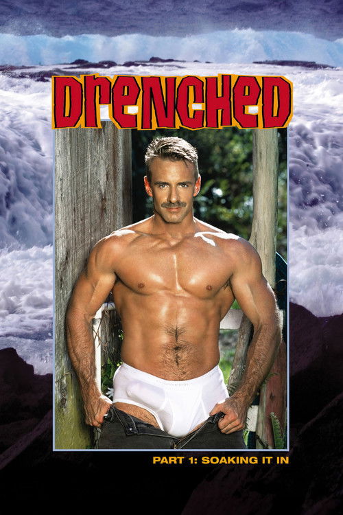Drenched: Soaking It In (2004) poster
