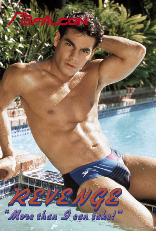 Revenge: More Than I Can Take (1990) poster