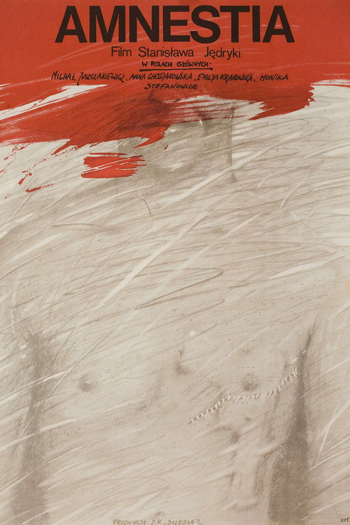 Amnesty (1982) poster