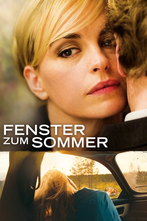 Summer Window (2011) poster