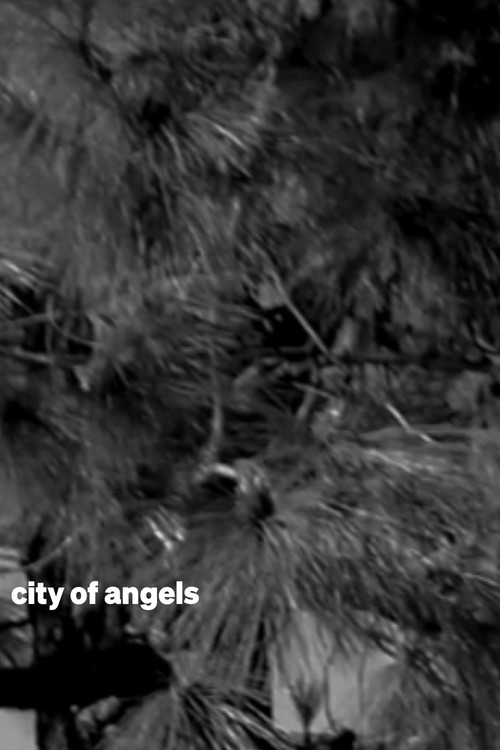 city of angels (2025) poster