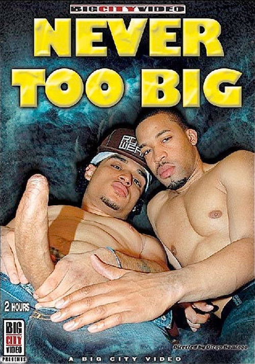 Never Too Big (2009) poster
