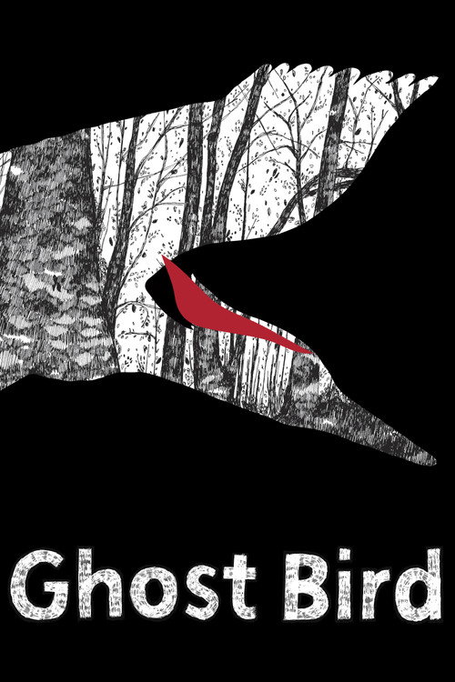 Ghost Bird (2009) poster