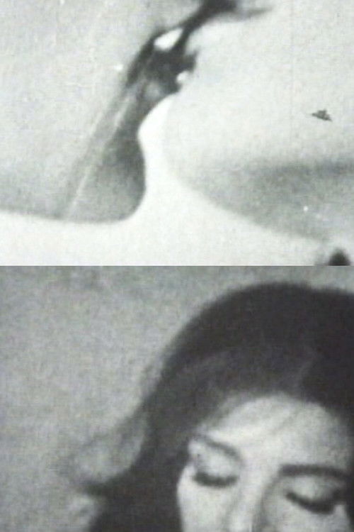 Si prende una ragazza, una qualunque, lì a caso... (1969) poster