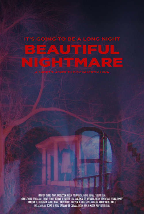 Beautiful Nightmare (2025) poster
