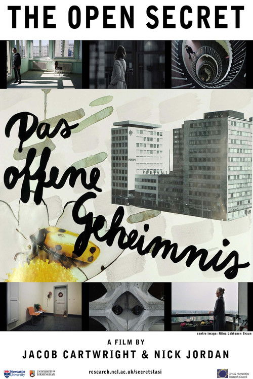 The Open Secret (2022) poster