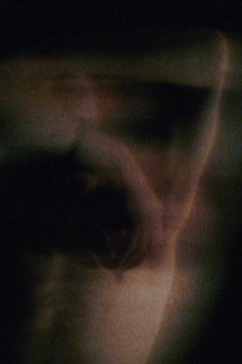 Gestuel (1978) poster