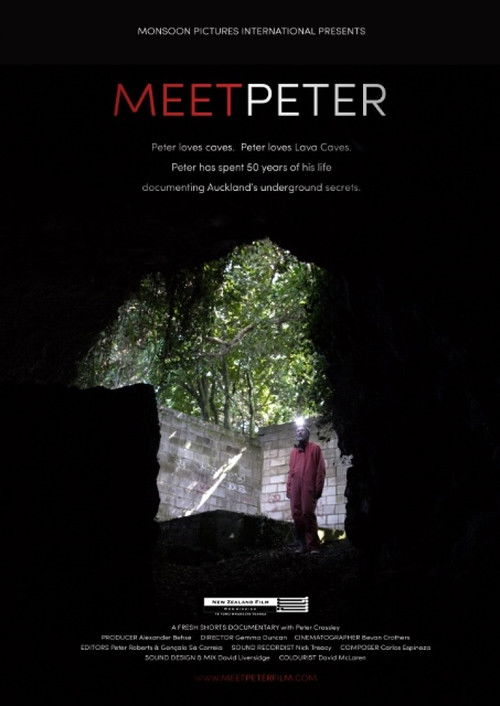Meet Peter (2016) poster