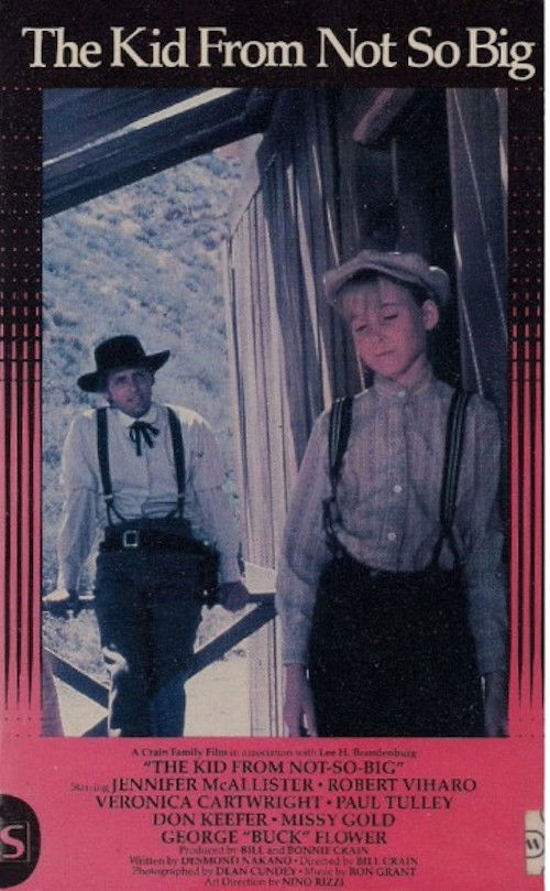 The Kid from Not-So-Big (1978) poster