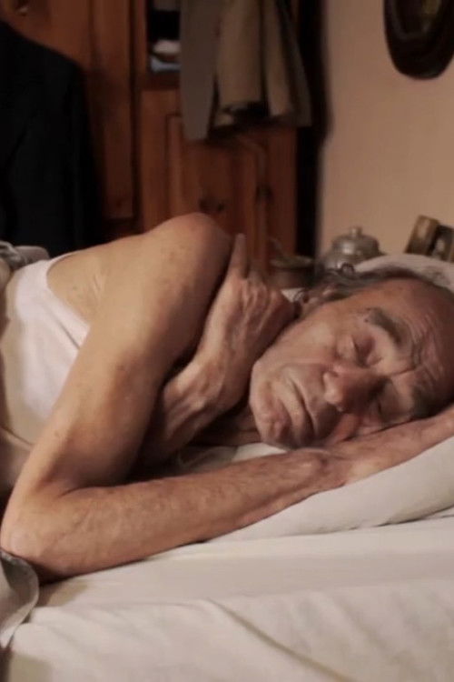 Mucho gusto (2011) poster