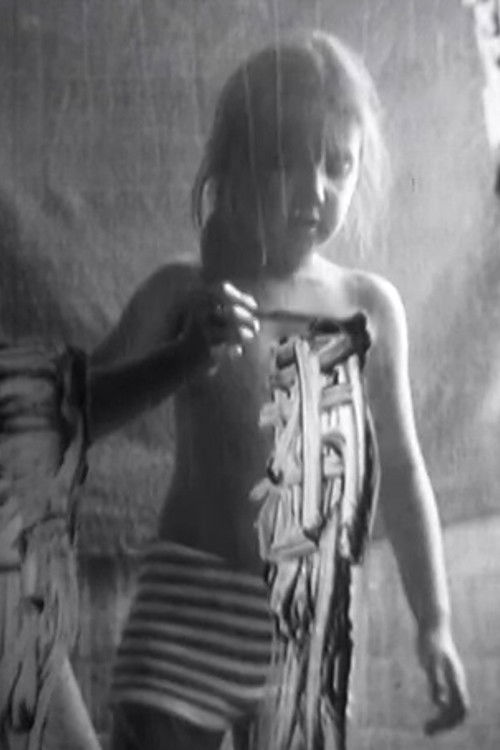 The Wrecked Cinema (1971) poster