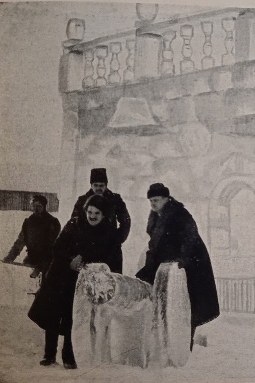 The Ice House (1916) poster