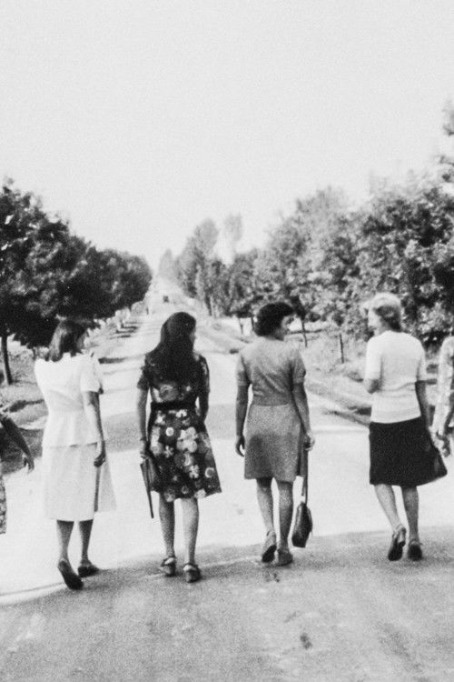 Summer in Zabno (1977) poster