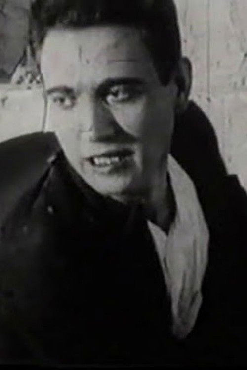 It Was a Nightmare (1925) poster