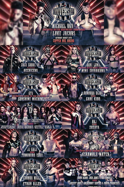 RevPro 12 Year Anniversary Show (2024) poster