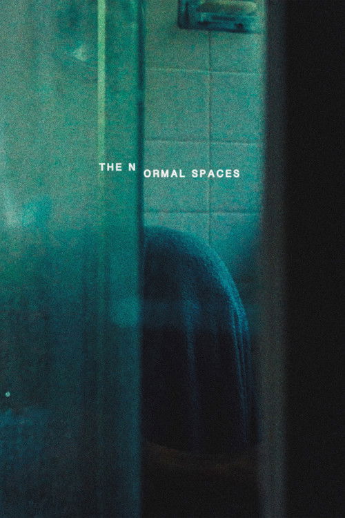 The Normal Spaces (2024) poster