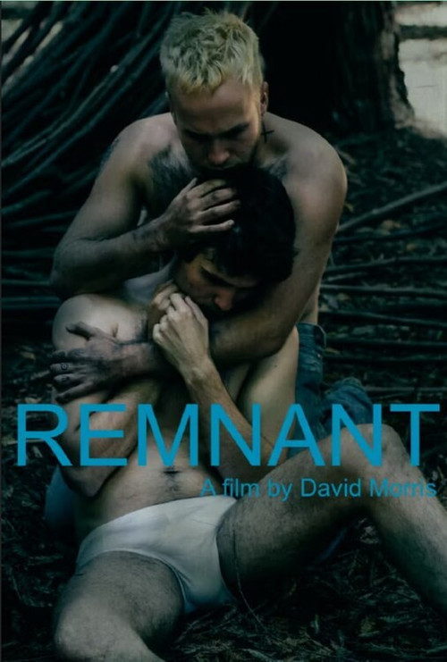 Remnant (2015) poster