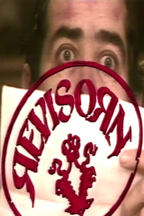 Revisorn (1990) poster