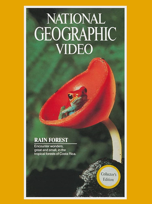 Rain Forest (1983) poster