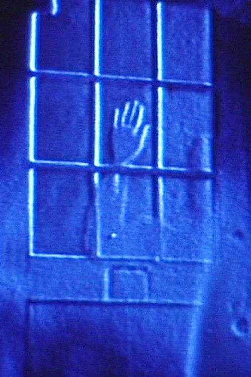 Five Films by Phil Solomon poster