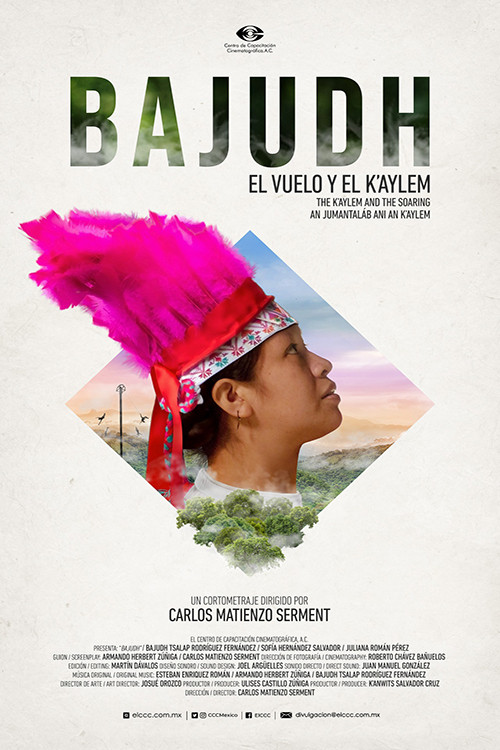 Bajudh (2023) poster