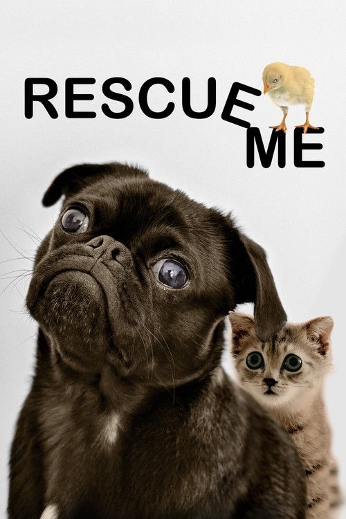 Rescue Me (2020) poster
