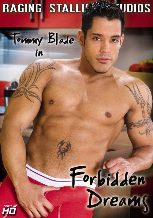 Forbidden Dreams (2007) poster