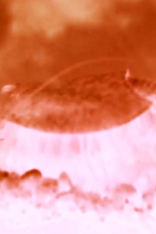 t.r.3.o.p.s. (2016) poster