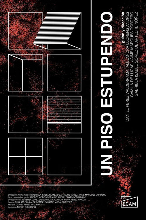 An Awesome Flat (2024) poster