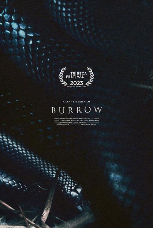 Burrow (2023) poster