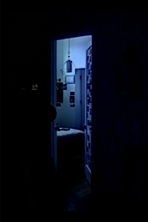 memory consolidation 02 (2025) poster