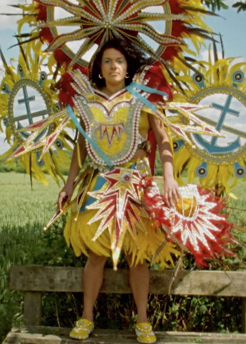 A Protest, A Celebration, A Mixed Message (2019) poster