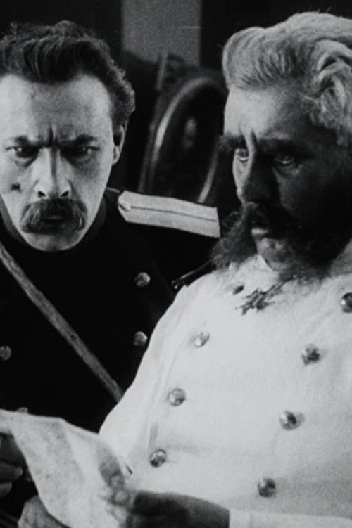 Assassination Attempt on the Governor (1917) poster