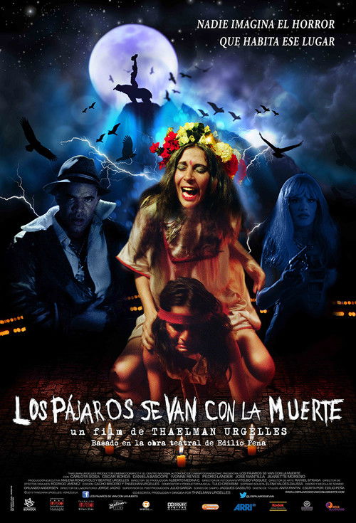 Los pájaros se van con la muerte (2013) poster